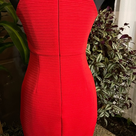 Lush - Picture 9 of 10